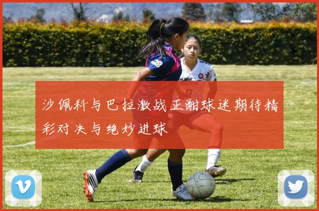 沙佩科与巴拉激战正酣球迷期待精彩对决与绝妙进球