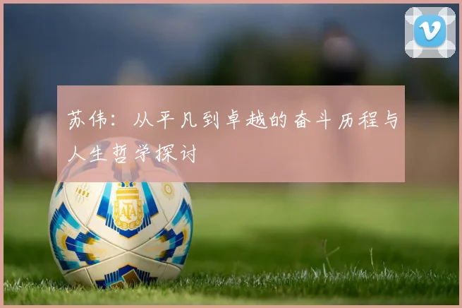 苏伟：从平凡到卓越的奋斗历程与人生哲学探讨