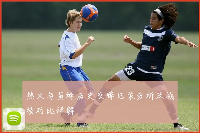 热火与黄蜂历史交锋记录分析及战绩对比详解
