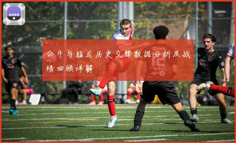 公牛与猛龙历史交锋数据分析及战绩回顾详解