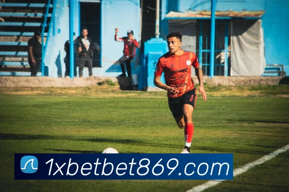 1XBET体育平台生态图